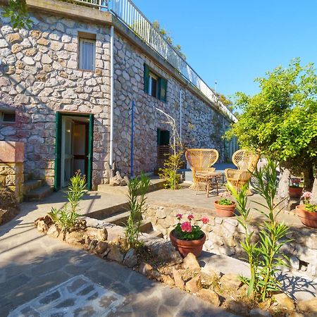 Casa William - Villa E 2 Dependance Porto Azzurro Eksteriør bilde